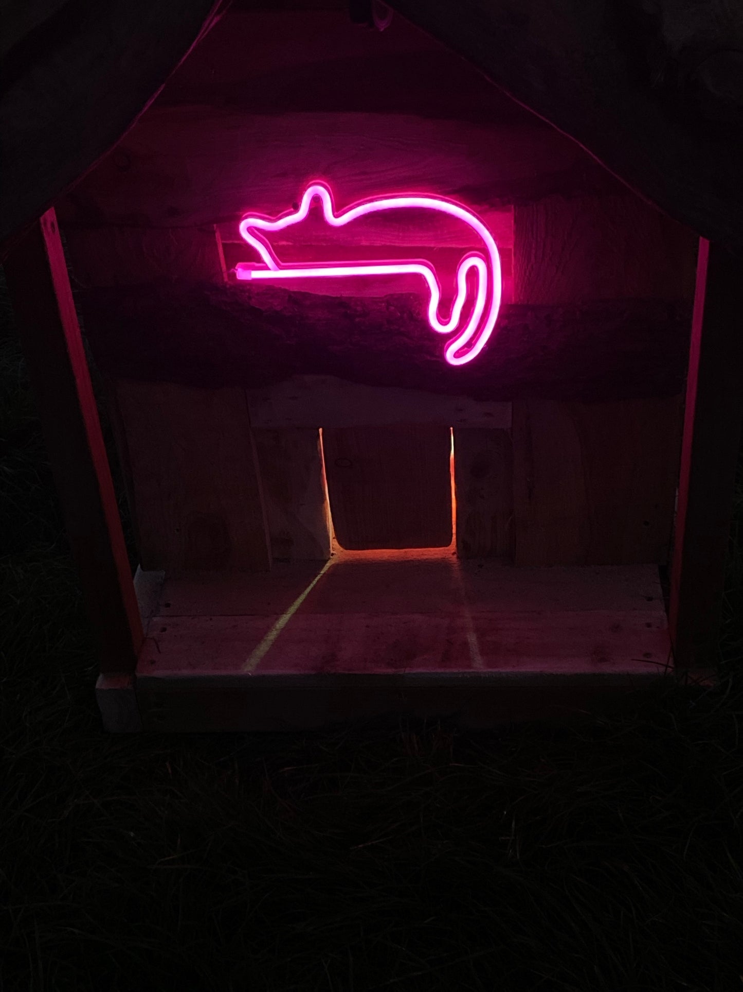 The Pussy Parlour
