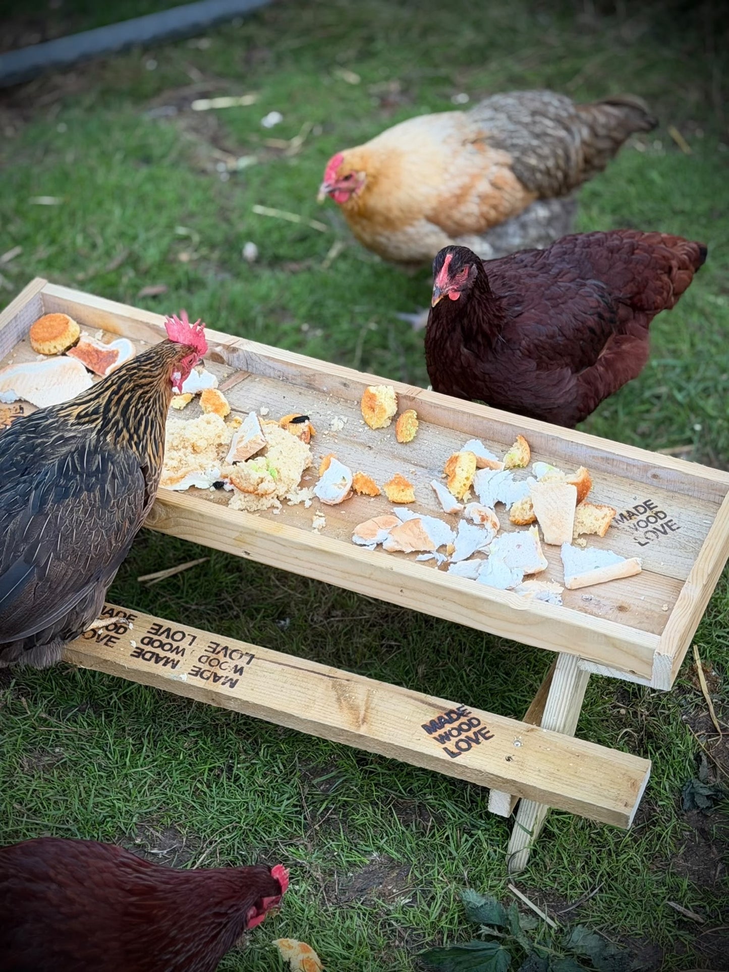 The Cluckin' Feeder – Chicken Picnic Table