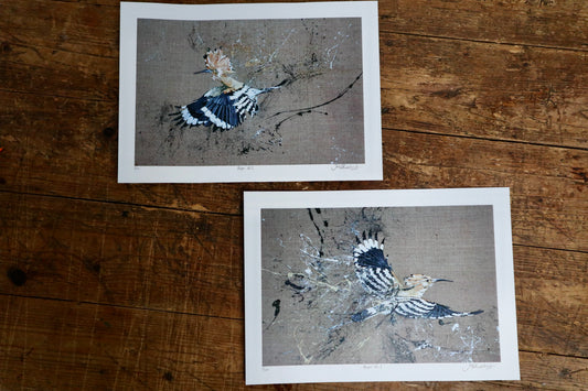 Hoopoe Bird (pair) Prints