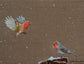 Returning Home in the Snow – Original Painting by Jack Fetherstonhaugh – photo 1 of 3