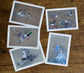 British Bird Art Prints by Jack Fetherstonhaugh – photo 1 of 9