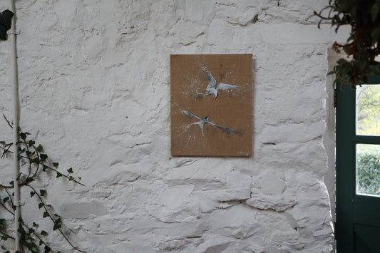 Pair of Arctic Terns  - Original Artwork