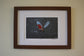 Classic British Bird Prints by Jack Fetherstonhaugh – photo 6 of 9