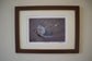 Colourful Pheasant Prints by Jack Fetherstonhaugh – photo 4 of 7