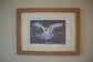 Framed Abbotsbury Swan by Jack Fetherstonhaugh – photo 9 of 9