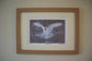 Framed Abbotsbury Swan by Jack Fetherstonhaugh – photo 1 of 9