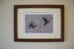 Pair of Puffins Art Prints by Jack Fetherstonhaugh – photo 2 of 4