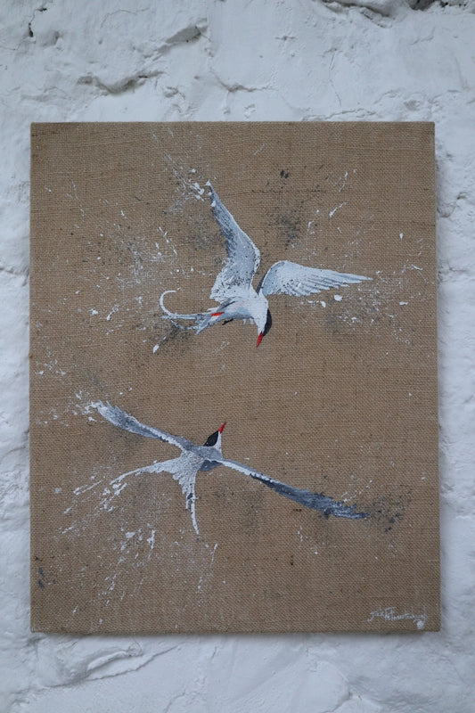 Pair of Arctic Terns  - Original Artwork