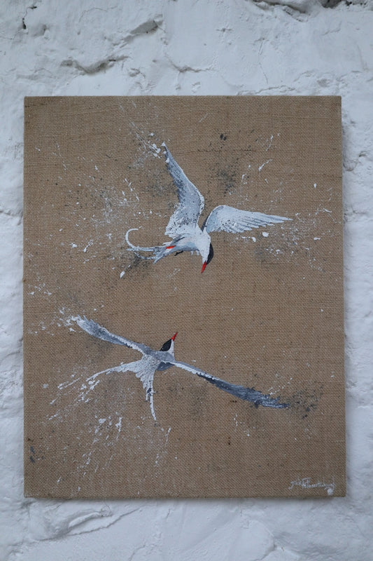 Pair of Arctic Terns - Original Artwork
