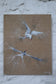 Pair of Arctic Terns – Original Painting by Jack Fetherstonhaugh – photo 1 of 4