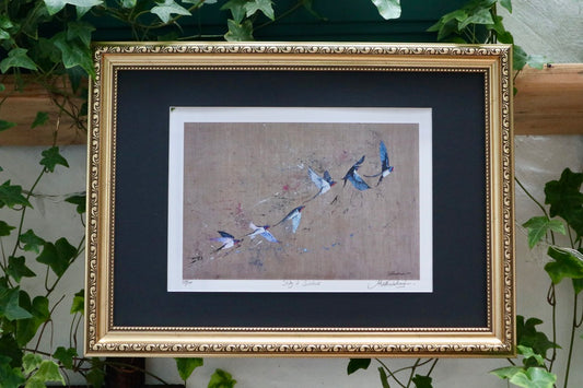 Study of Swallows Prints