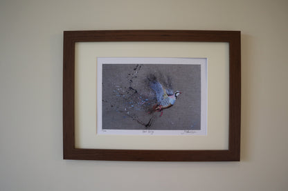 Framed French Partridge by Jack Fetherstonhaugh – photo 4 of 7