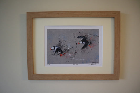 Pair of Puffins Art Prints