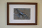 English Partridge Art Prints by Jack Fetherstonhaugh – photo 4 of 4