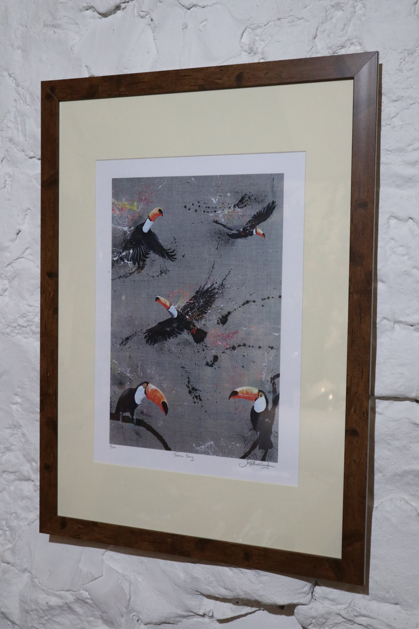Toucan Gang - Artwork/Prints