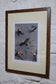 Toucan Gang Art Prints by Jack Fetherstonhaugh – photo 3 of 8