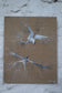 Pair of Arctic Terns – Original Painting by Jack Fetherstonhaugh – photo 3 of 4