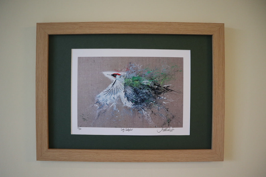 Framed Lady Woodpecker