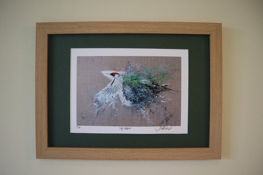 Framed Lady Woodpecker
