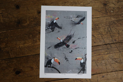 Toucan Gang Art Prints by Jack Fetherstonhaugh – photo 2 of 8