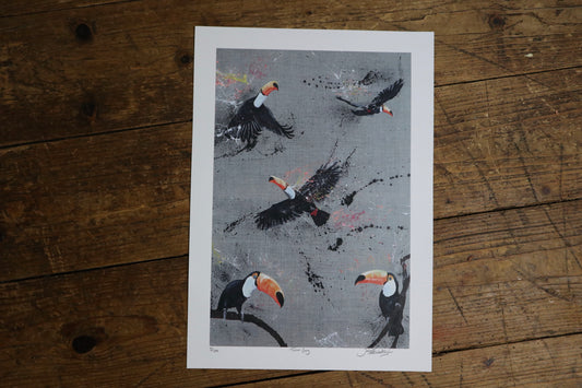 Toucan Gang - Artwork/Prints