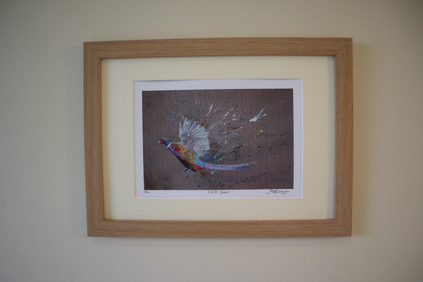 Colourful Pheasant Prints