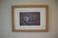 Colourful Pheasant Prints by Jack Fetherstonhaugh – photo 5 of 7