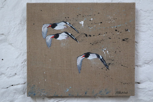 Oystercatchers - Original Artwork