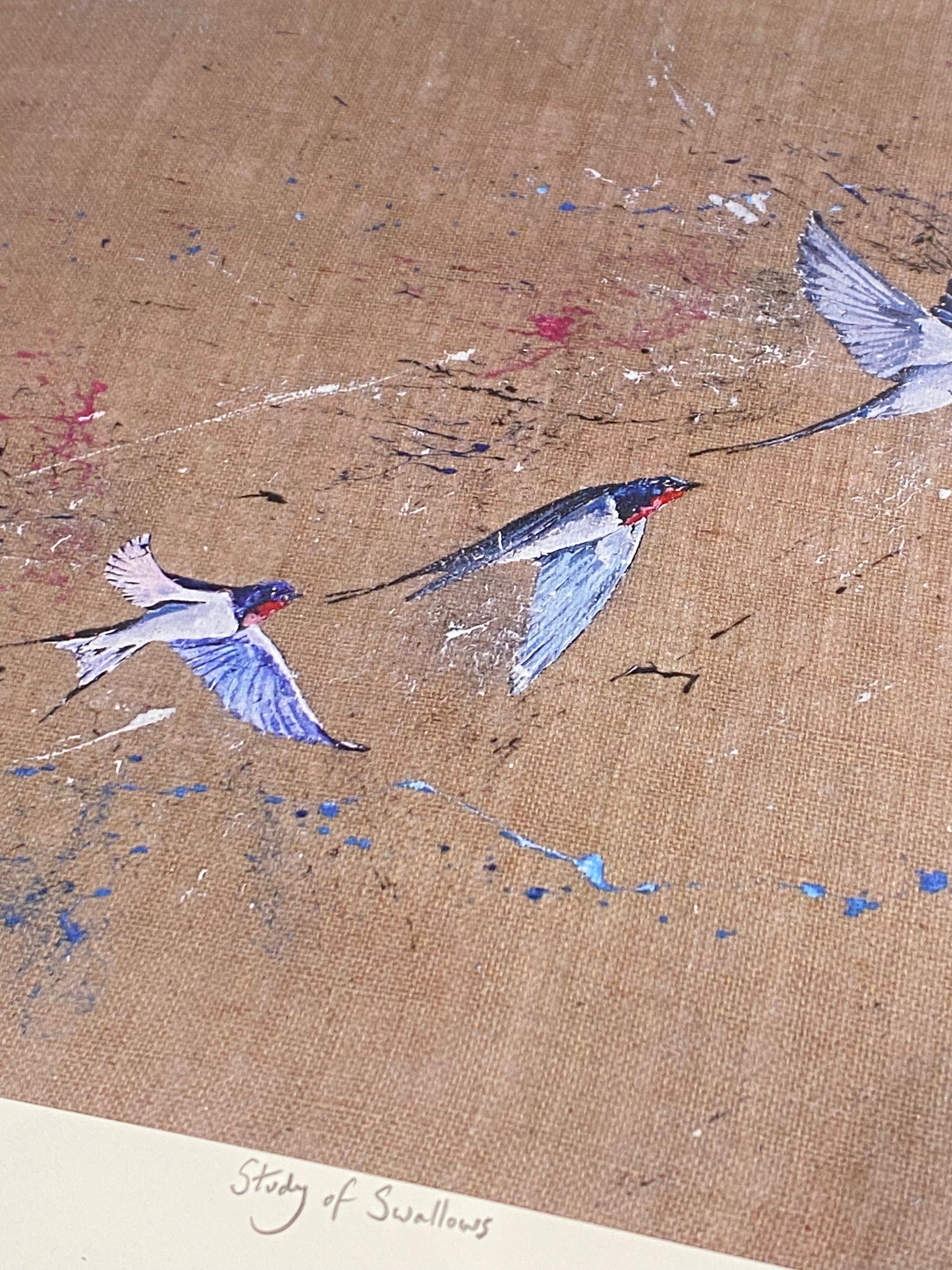 Close-up detail of Study of Swallows print showing brushwork and colour