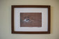 Framed Pheasant in Flight by Jack Fetherstonhaugh – photo 4 of 4