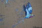 Lilac Breasted Rollers – Original Painting by Jack Fetherstonhaugh – photo 3 of 6