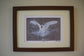 Framed Abbotsbury Swan by Jack Fetherstonhaugh – photo 2 of 9