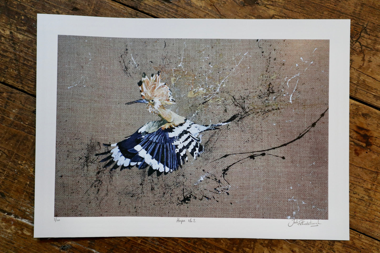 Hoopoe Bird (pair) Prints