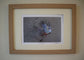 Framed French Partridge by Jack Fetherstonhaugh – photo 5 of 7