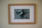 Classic British Bird Prints by Jack Fetherstonhaugh – photo 8 of 9