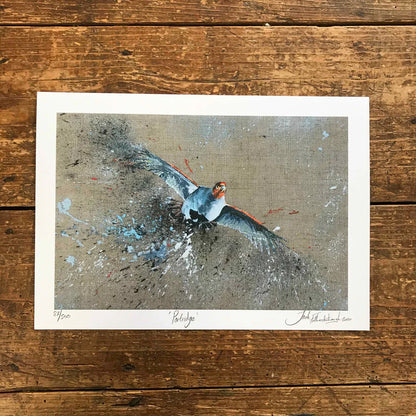 English Partridge Art Prints by Jack Fetherstonhaugh – photo 2 of 4