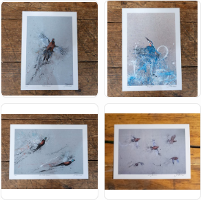 4 New Prints: Pheasants, Grouse & Kingfisher