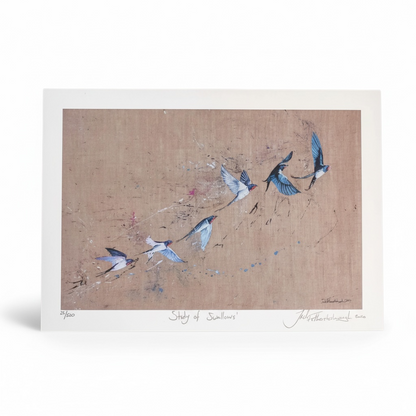 “Study of Swallows art print – straight on view of swallows in flight”