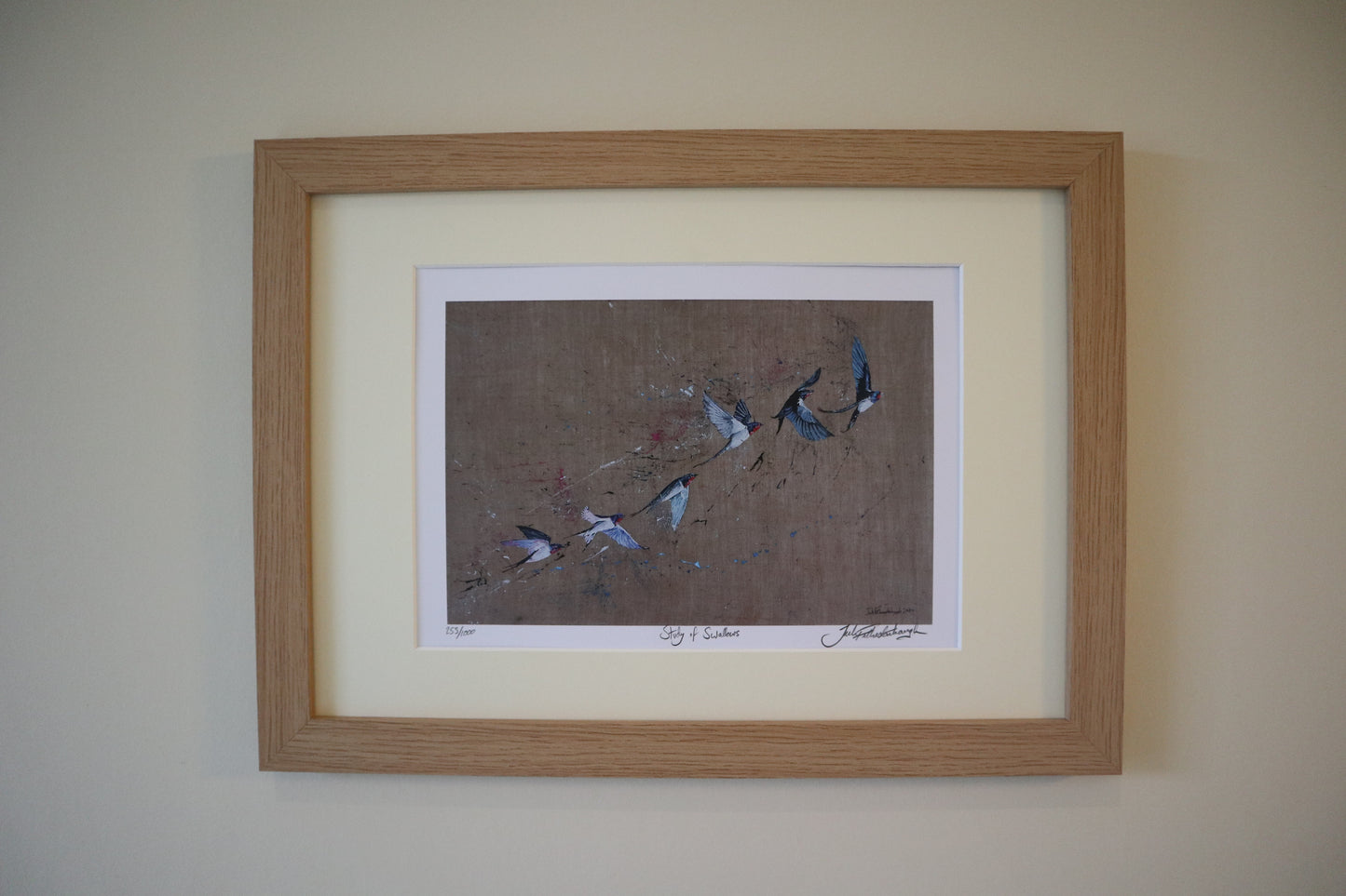 Study of Swallows print displayed in a frame on a wall