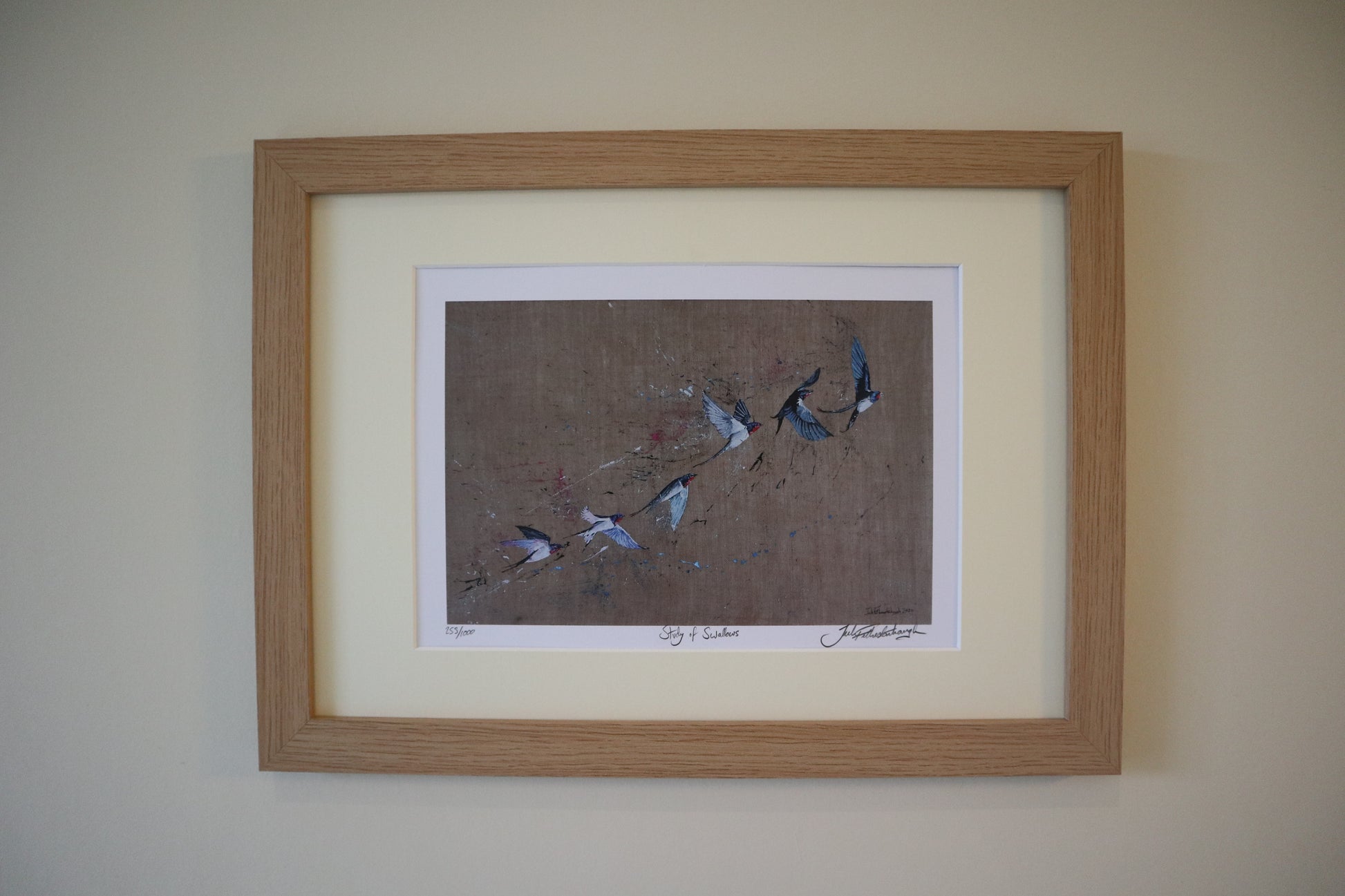 Study of Swallows print displayed in a frame on a wall