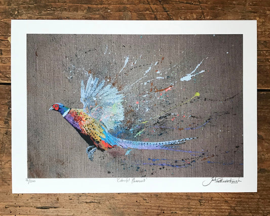 Colourful Pheasant Prints