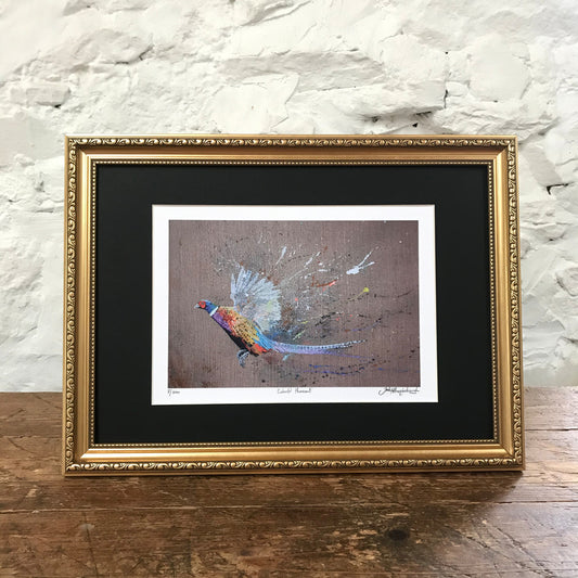 Framed Colourful Pheasant