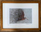 Framed Woodcock by Jack Fetherstonhaugh – photo 2 of 6