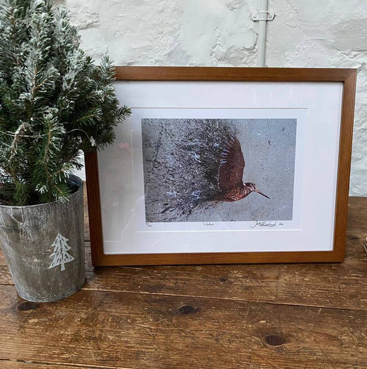 Framed Woodcock