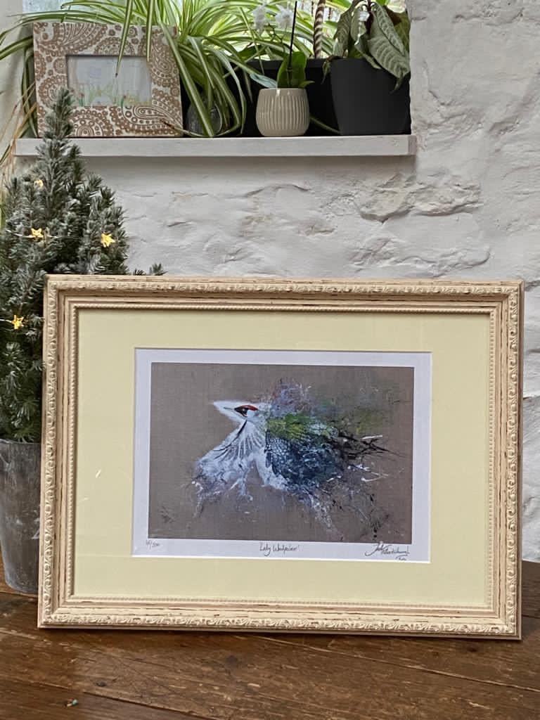 Framed Lady Woodpecker