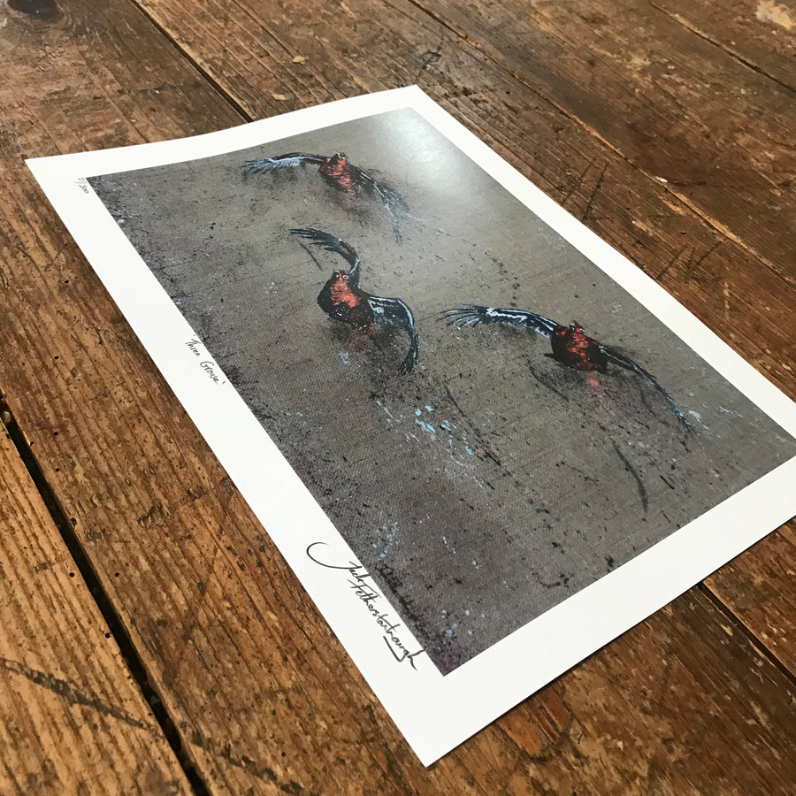 Three Grouse Framed / Prints