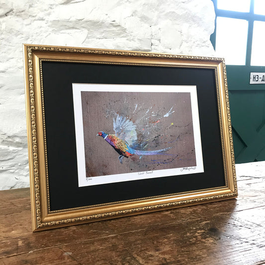 Framed Colourful Pheasant