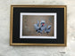 Polish Chicken Print by Jack Fetherstonhaugh – photo 2 of 3