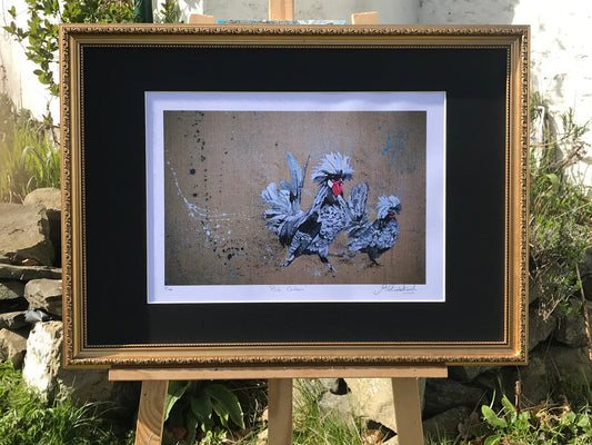 Framed Polish Chicken Print