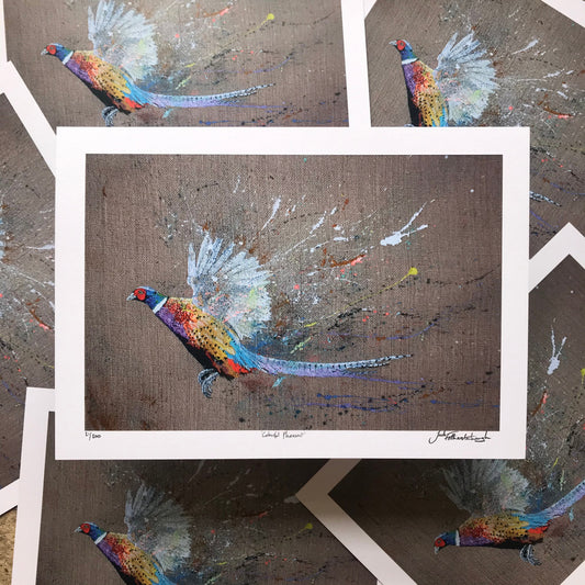 Colourful Pheasant Prints